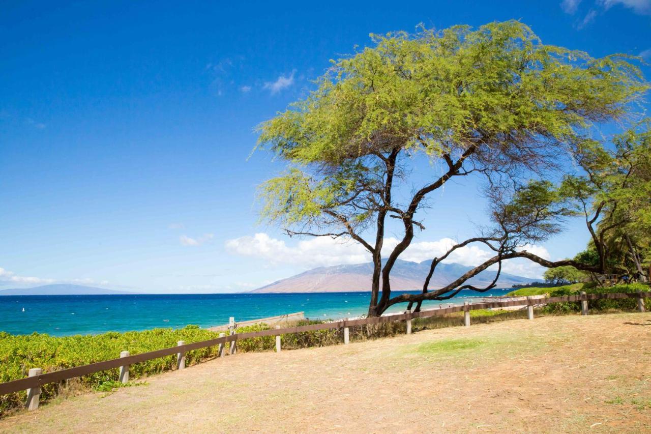 Vila Hale Kamaole 254 Wailea  Exteriér fotografie